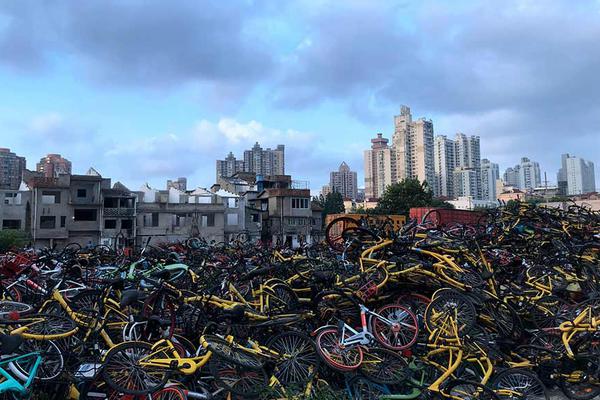 綠茵場上的財富獵人：當你「買足球」時，你買的不隻是輸贏，而是與命運博弈的快感 