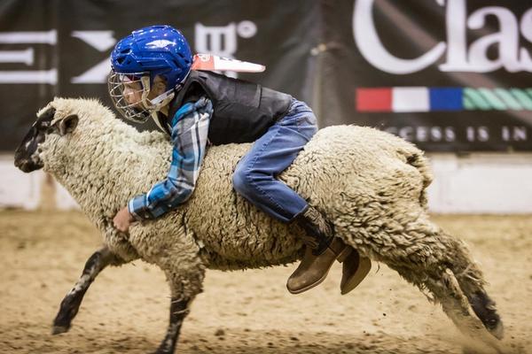 海底捞、麦当劳、达美乐、塔斯汀...11家餐饮品牌“凶猛”拓店中！