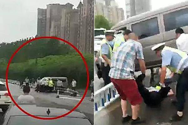 盛世莲花开丨我在故宫做实习生