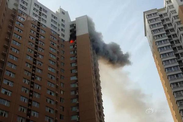 中国侨联海外联谊研修班首次在肥开班