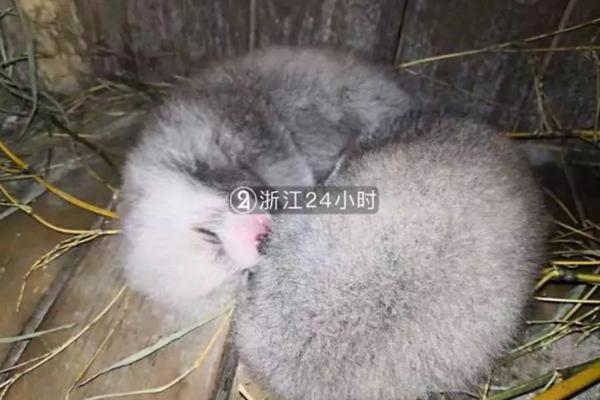《婚内婚外》蔡文静：宁悦是个狠人，足够清醒独立