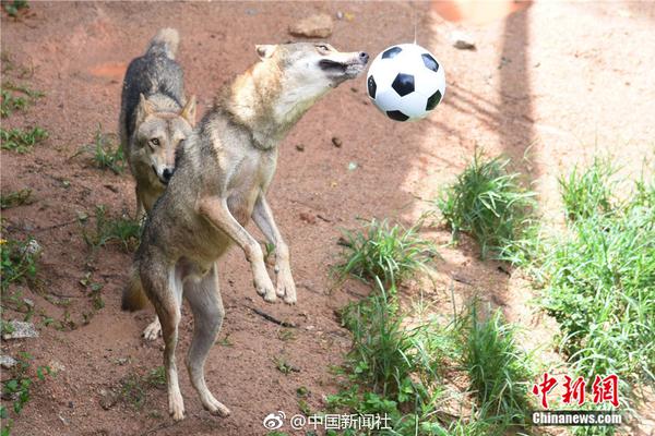 武汉生殖代生孩子医院浑身没劲怎么回事