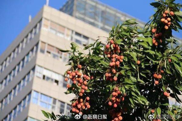2019 ITF国际女子网球巡回赛南宁站开赛 27日结束