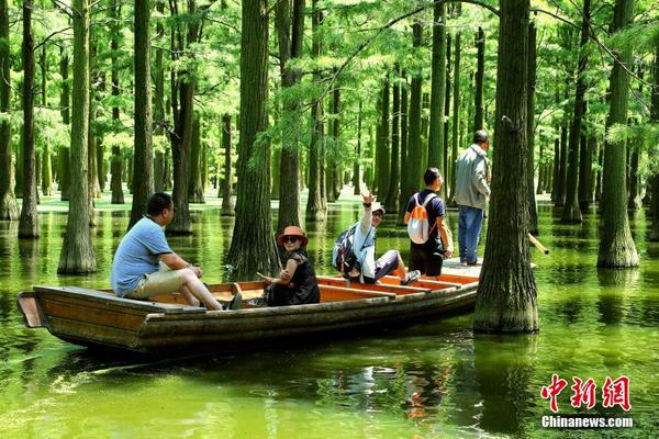 財富翻倍的藝術：深挖六合彩復式派彩的隱藏金礦，讓你離頭獎更近一步 