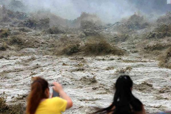 蕨菜怎么保存到下半年