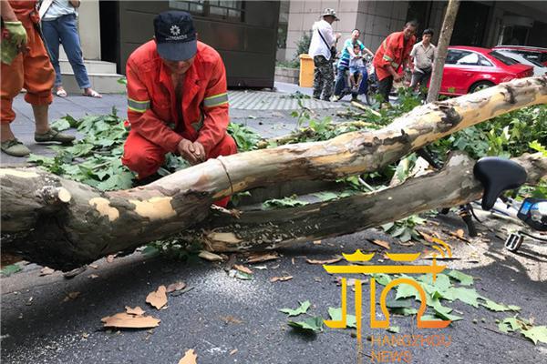 泰禾、阳光100等房企频繁卖项目股权 “补血”背后风险犹存