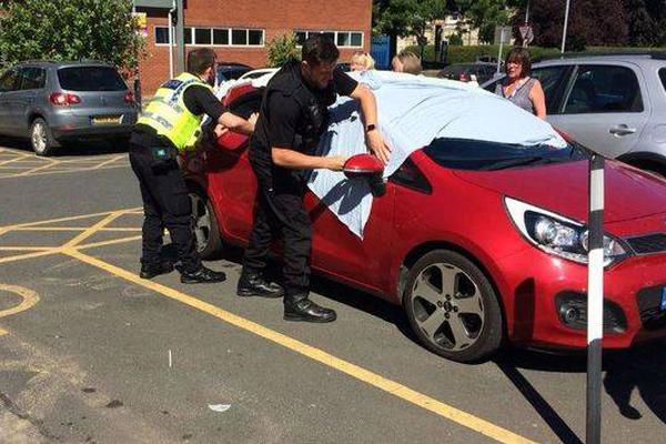 城市脈搏的密碼：在《HK Headlines》中找尋屬於香港的溫度與速度 