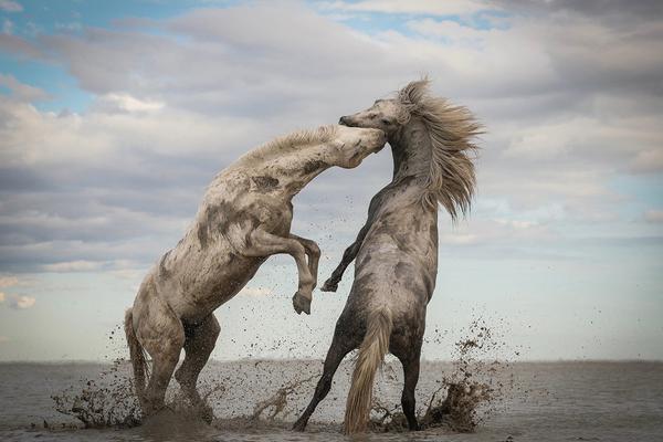 【買波技巧全攻略】從盲目下注到穩定獲利：資深玩家不輕易外傳的足球投資學 