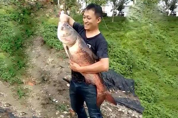 逆轉人生的隱形代碼：揭秘「下三路」背後的贏家邏輯與博弈藝術 