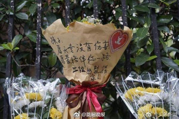 萱萱日记，网络影视内容探索与分享