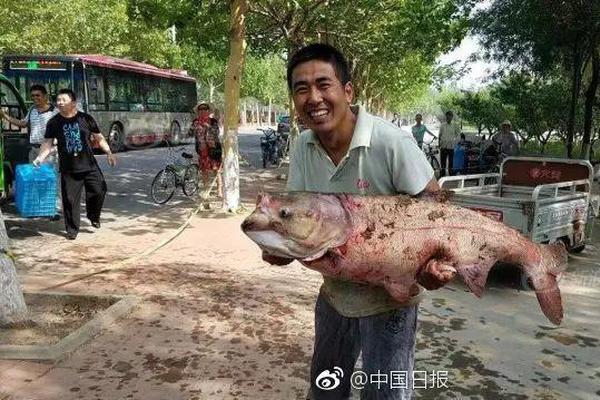 合肥义仓社区红枫黄梅艺术团唱了24年黄梅调