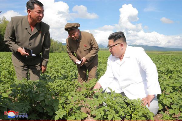 健康｜血栓大多是吃出来的 医生：这四种食物一定要少吃！