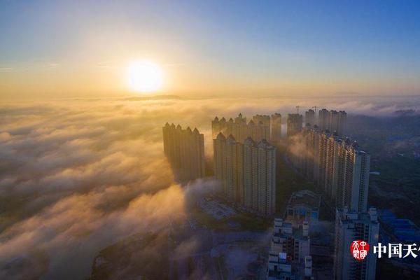 事关食品生产经营 厦门同安发布两部《指引》