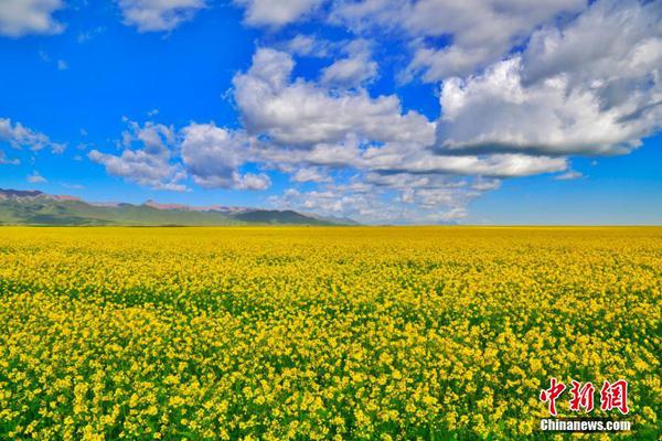 “书香六安·阅读环游记”在大别山成功举办