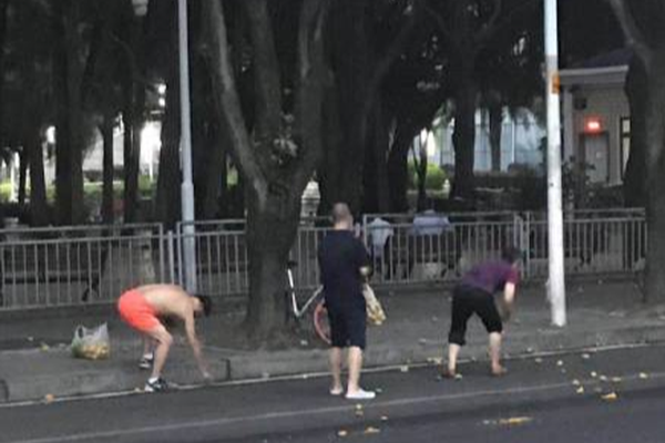法网综合：费纳齐头并进 张帅女单止步