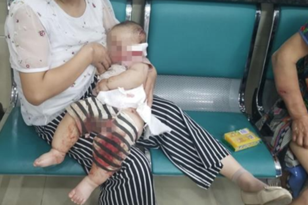 《特技狂人》受成龙功夫影响 导演谈高司令艾米莉