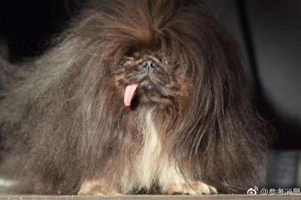 罗浑启：三翼鸟将给厨房带去反动性窜改