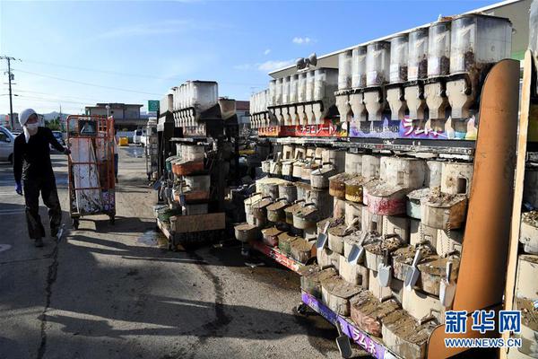 與財神爺的最後探戈：當「六合彩截止」的倒數聲響起，你還在等什麼？ 