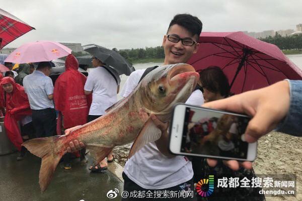 郑钦文回应“观众欢呼声会不会带来压力”：这是好事，是动力