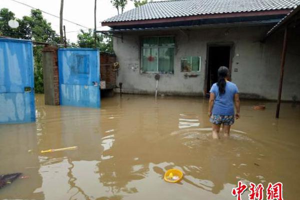 习近平绿色箴言妙喻美丽中国