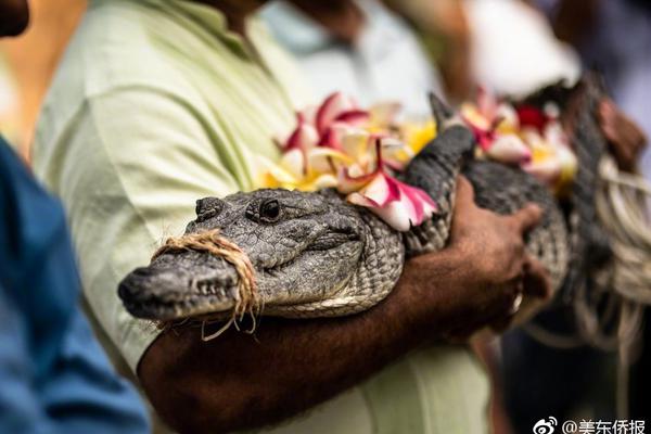 越過那道隱形的門：深度解密馬會銀卡會籍，不僅是身份，更是通往頂層生活的入場券 