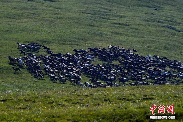 前10月“四方运维中心”解决疑难问题1560余人次