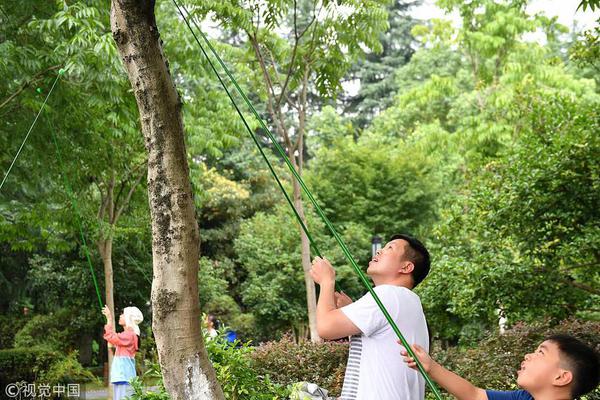 阜阳市颍上县谢桥镇百年古庙会激发新活力