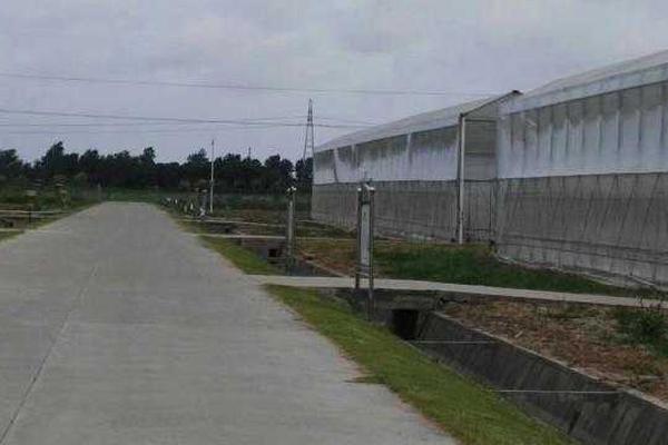 蟋蟀靠什么发出声音