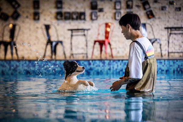  尿酸高如何降低