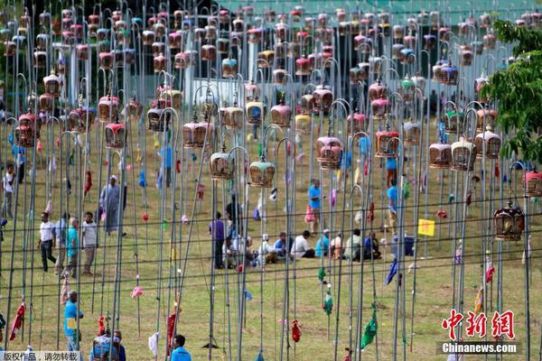 南京高淳砖墙镇：开展肉类产品专项检查 守护群众食品安全