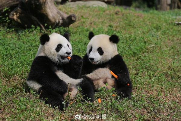 北京供卵机构在哪里,备孕饮食要点