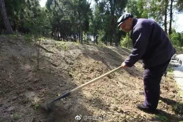 刘强东章泽天夫妇撤资“作业盒子”