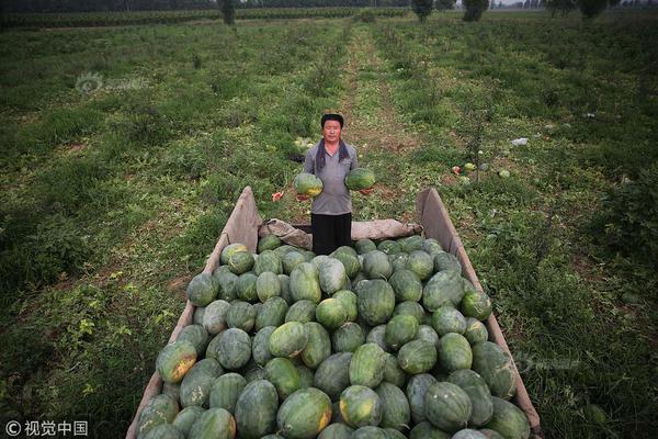 京冀240名滑雪爱好者齐聚北京延庆 乐享冰雪“速度与激情”