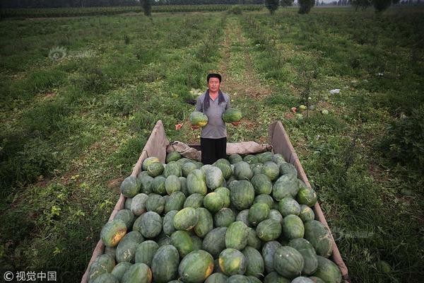 日常物品微距摄影 你能认出是什么吗？