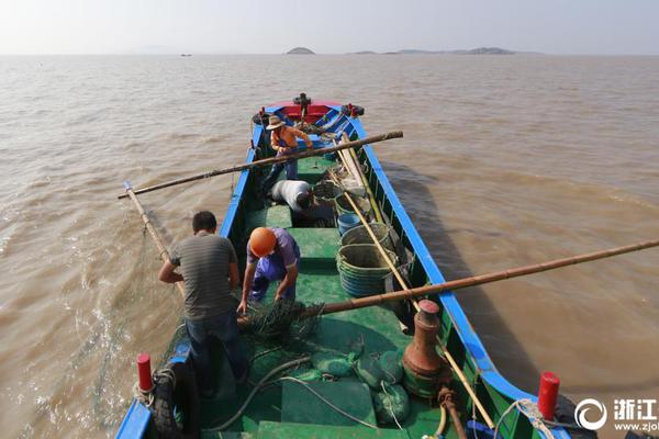 历史回顾
：那些年我们一起体育评论 在线观看的经典瞬间