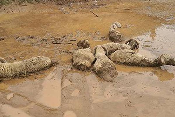 “古厝艺韵 名城新貌”——迎世遗福州古建筑图片展开幕