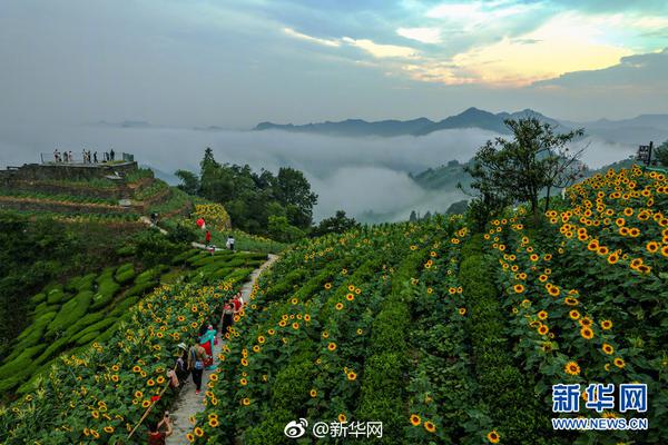 淮北市：赛场上闪动亮丽“风景线”
