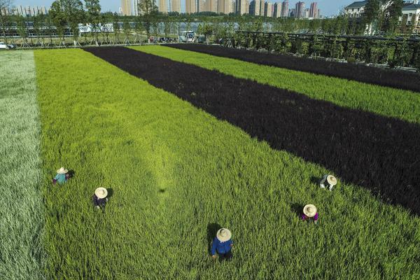 穿越時空的致富密碼：從過往六合彩結果中找尋隱藏的規律 