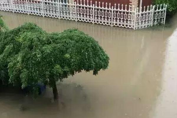 第6届合肥市动漫少儿才艺大赛预决赛启幕
