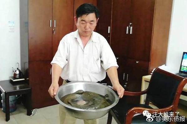 亳州市：弘扬雷锋精神 厚植志愿情怀