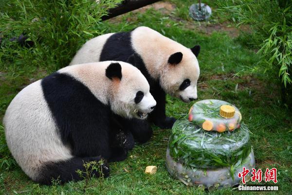 孙俪力挺仁济医院医生