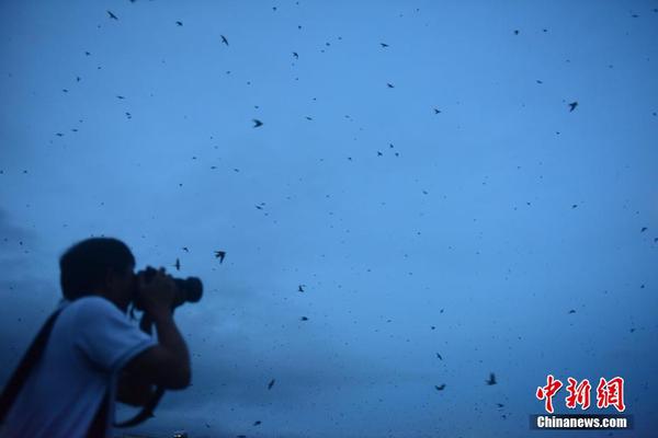 窒息的三十分鐘：在綠茵場的邊緣，看見靈魂的博弈——足球加時賽全解析 