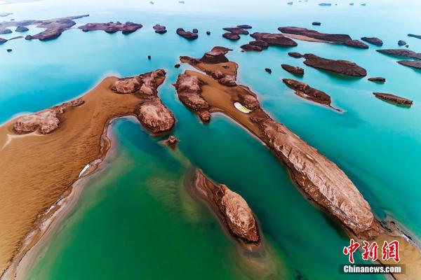 新浪财经“光临”巴菲特家乡机场