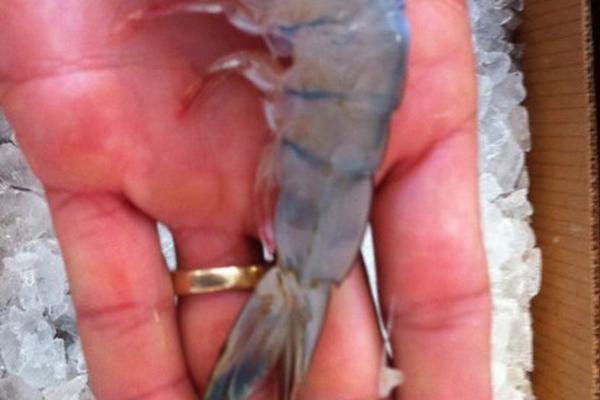 福州“两集中”供地首日25宗地块揽金143.11亿元 保利、厦门国贸等均有斩获