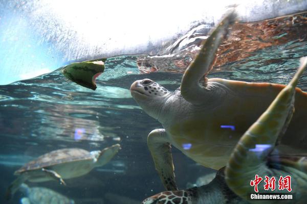 情人节有什么活动