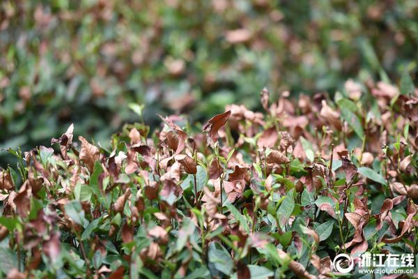 又见“股神”巴菲特：中国投资人酒会火热报名中