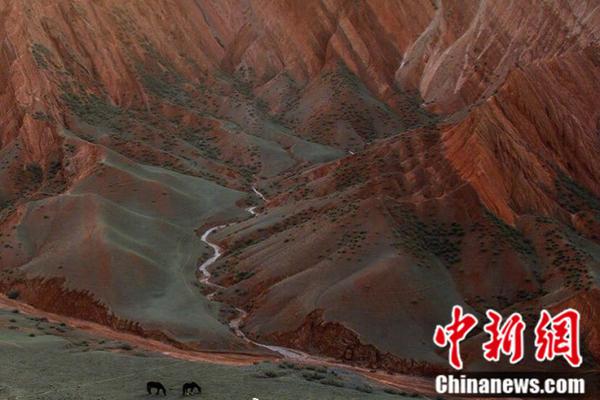 健康快车驶入抚州 为患者带去光明