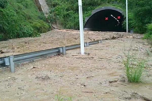 瞬息萬變的綠茵真相：為何「足球直接」是你唯一需要的終極看球指南 