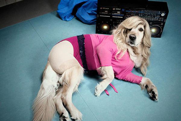 吃了没熟的螃蟹怎么办