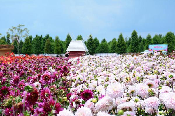 “皖南星7天”艺术乡村（西村村）主题活动在宁国举行